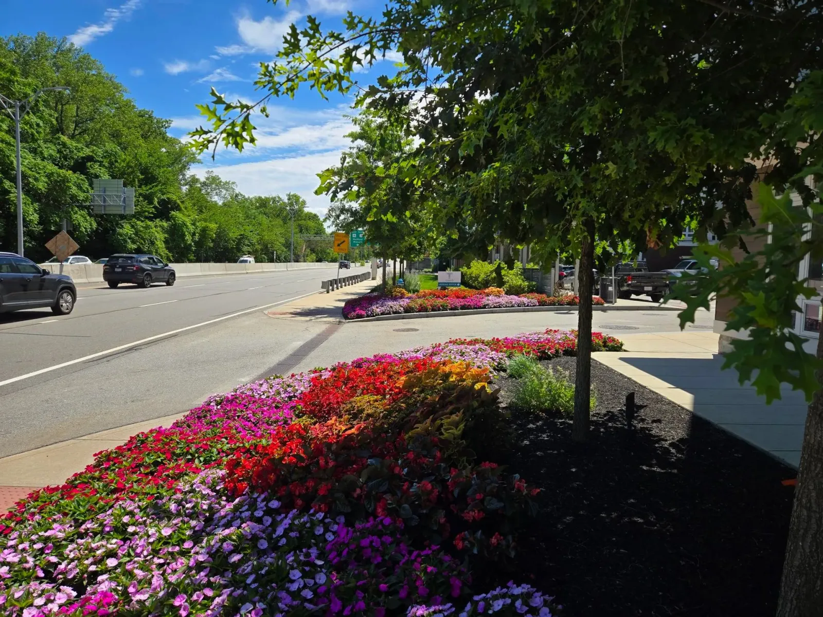 work photo from cunnifflandscape.com
