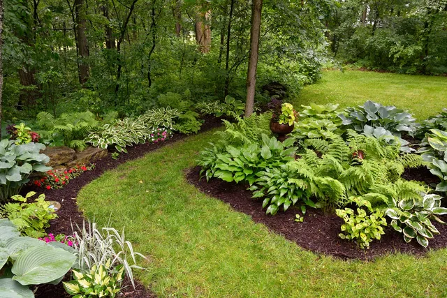 Grassy Turtle Services, LLC.  team in Oxford, CT - people or person