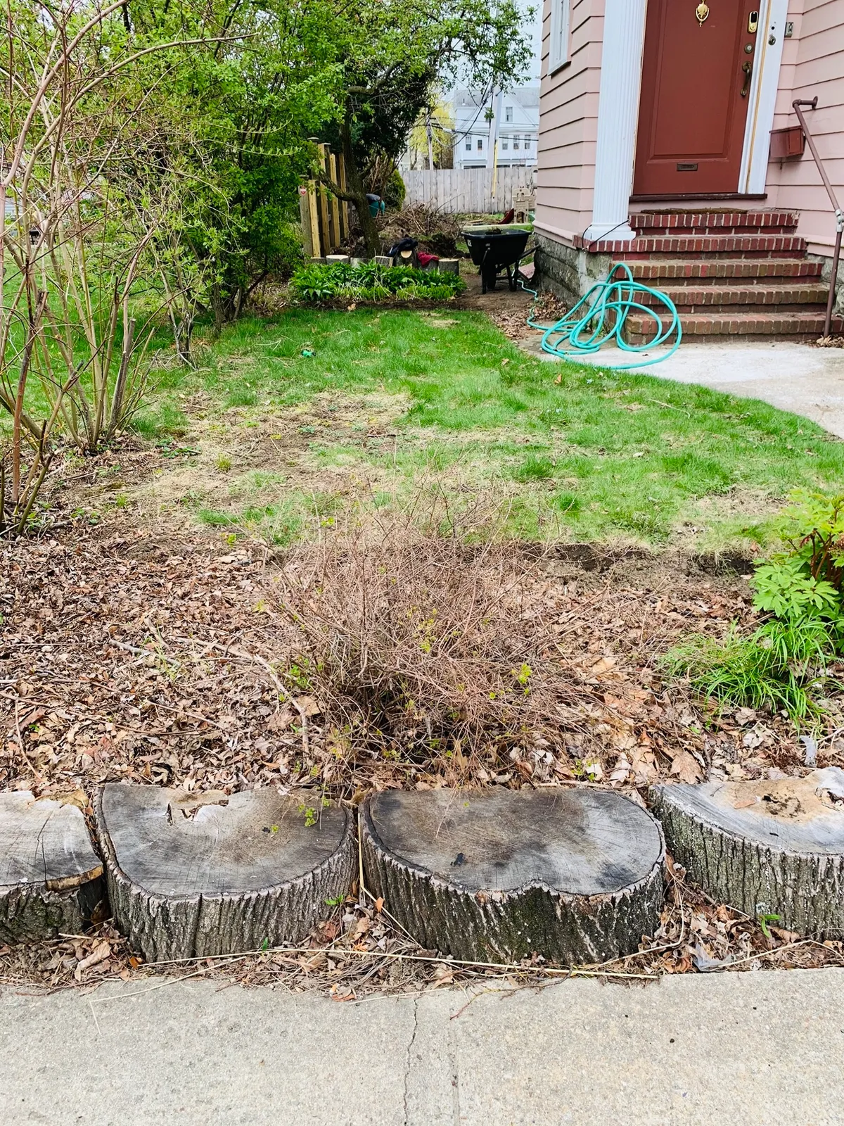Front yard garden process photo 1