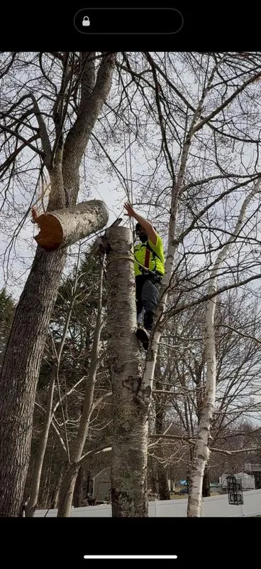 Climbing