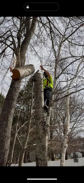 Climbing