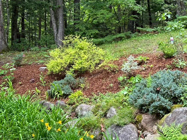 My Go To Gardener work photo