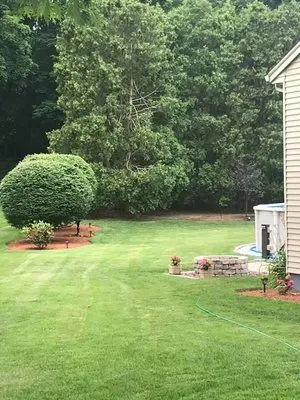 Precision Landscaping researched project photo