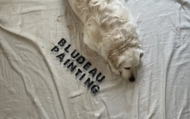 work photo from bludeaupainting.com