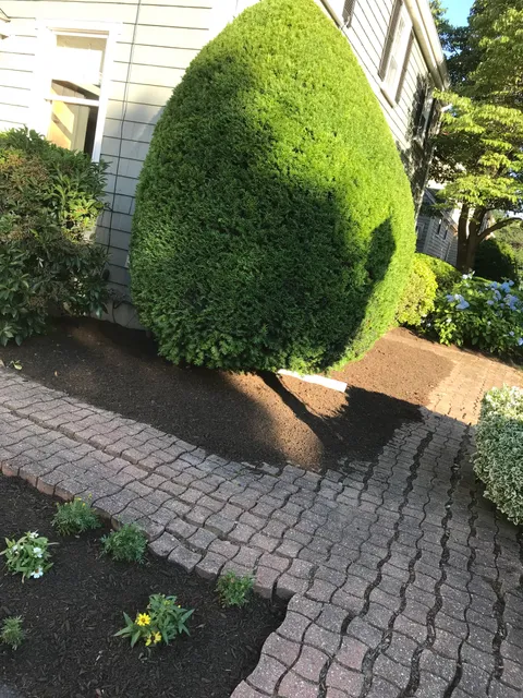 New Beginnings Landscaping and Snow Plowing work photo