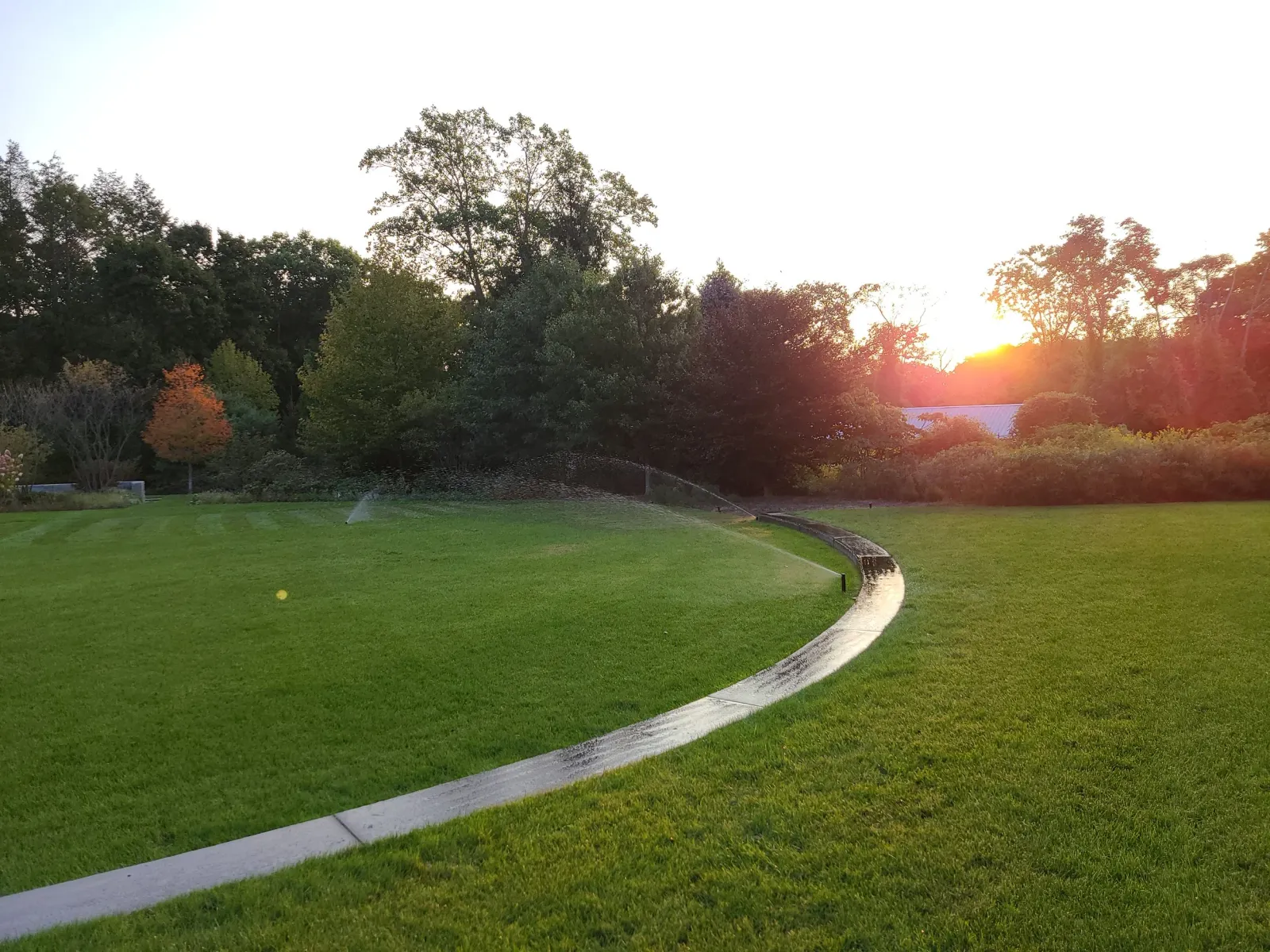 20200923_070331.jpg