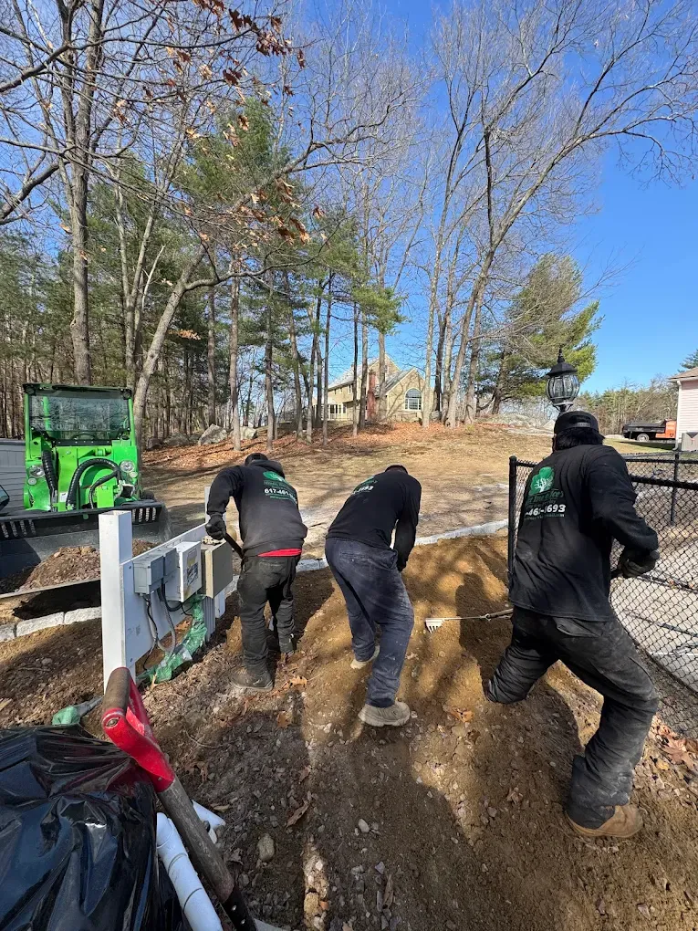 Commercial Stump Grinding