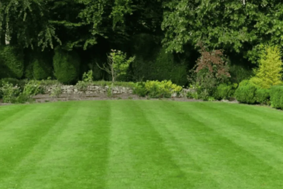 work photo from jkr-landscaping.com