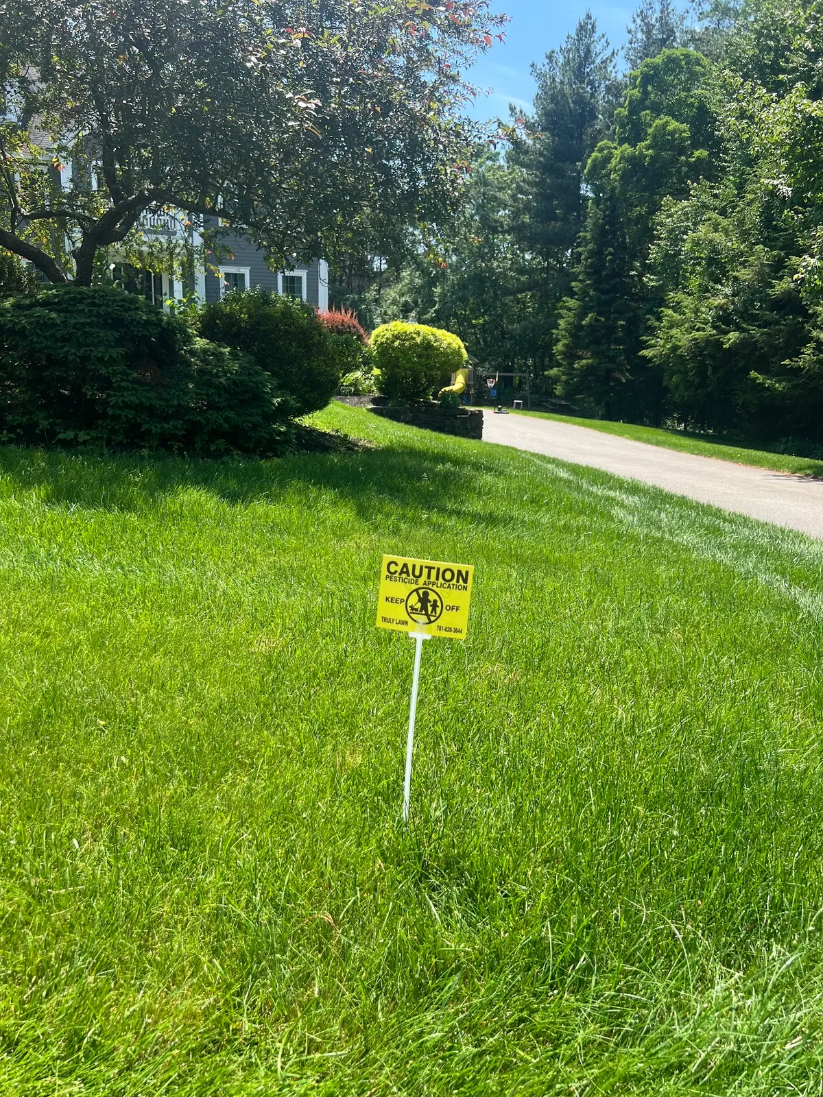 Truly Lawn