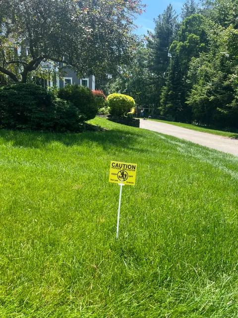 Truly Lawn