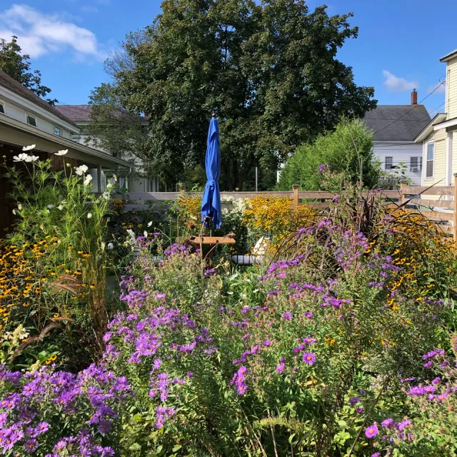 ASHLEY ROBINSON, LANDSCAPE DESIGNER work photo