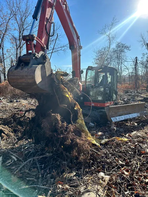 work photo from protreesolutionsllc.com