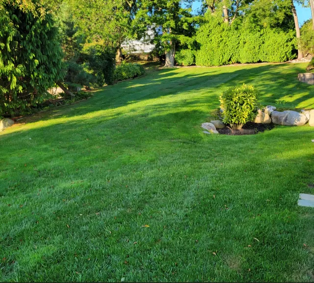 GreenWorks Lawn Specialists work photo