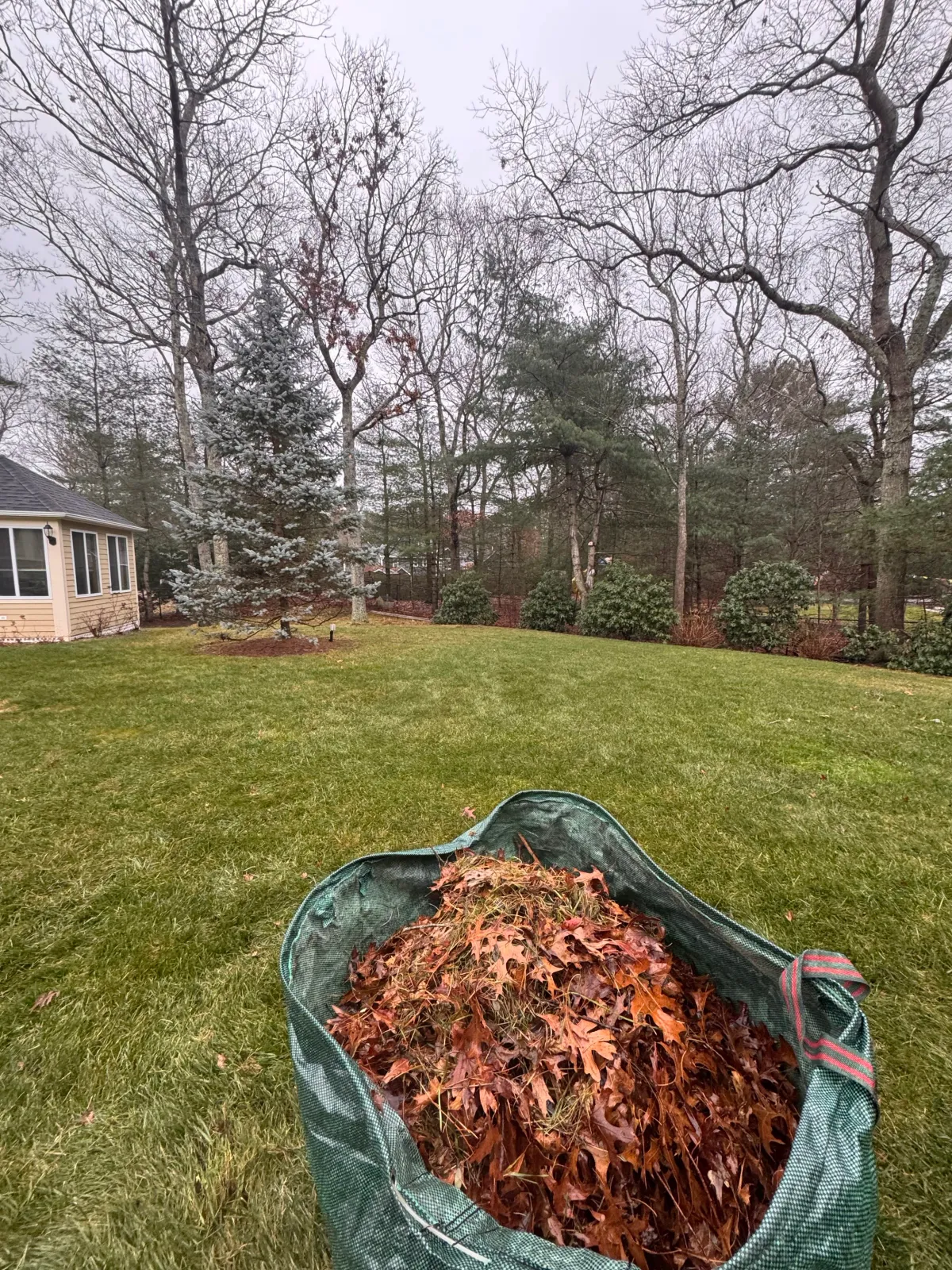 Yard Clean-Up