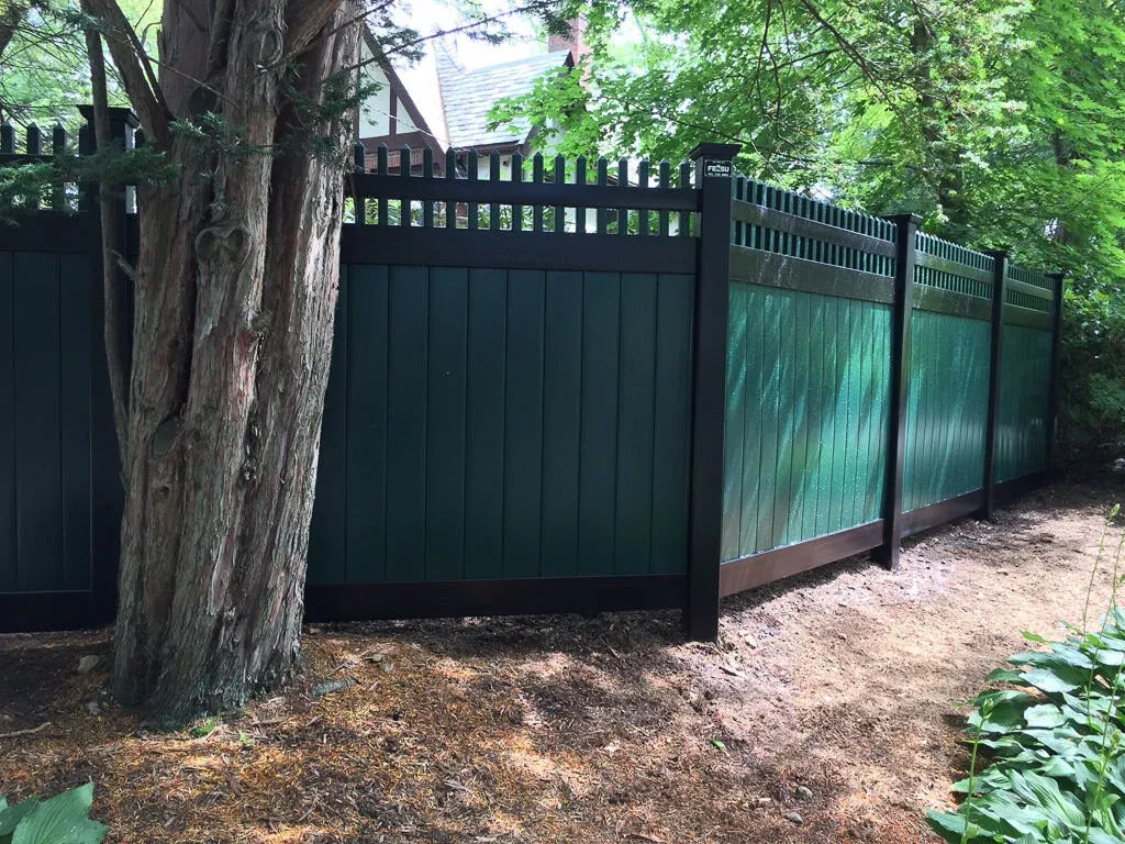 Two tone - estern green on black in Newton.jpg