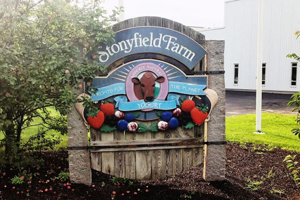 Electrical-contractor-for-Stonyfield-Yogurt-.jpg