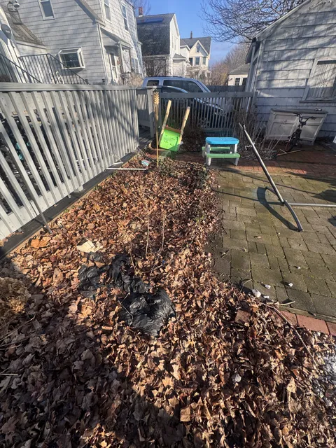 Seasonal property cleanup in New Haven County CT