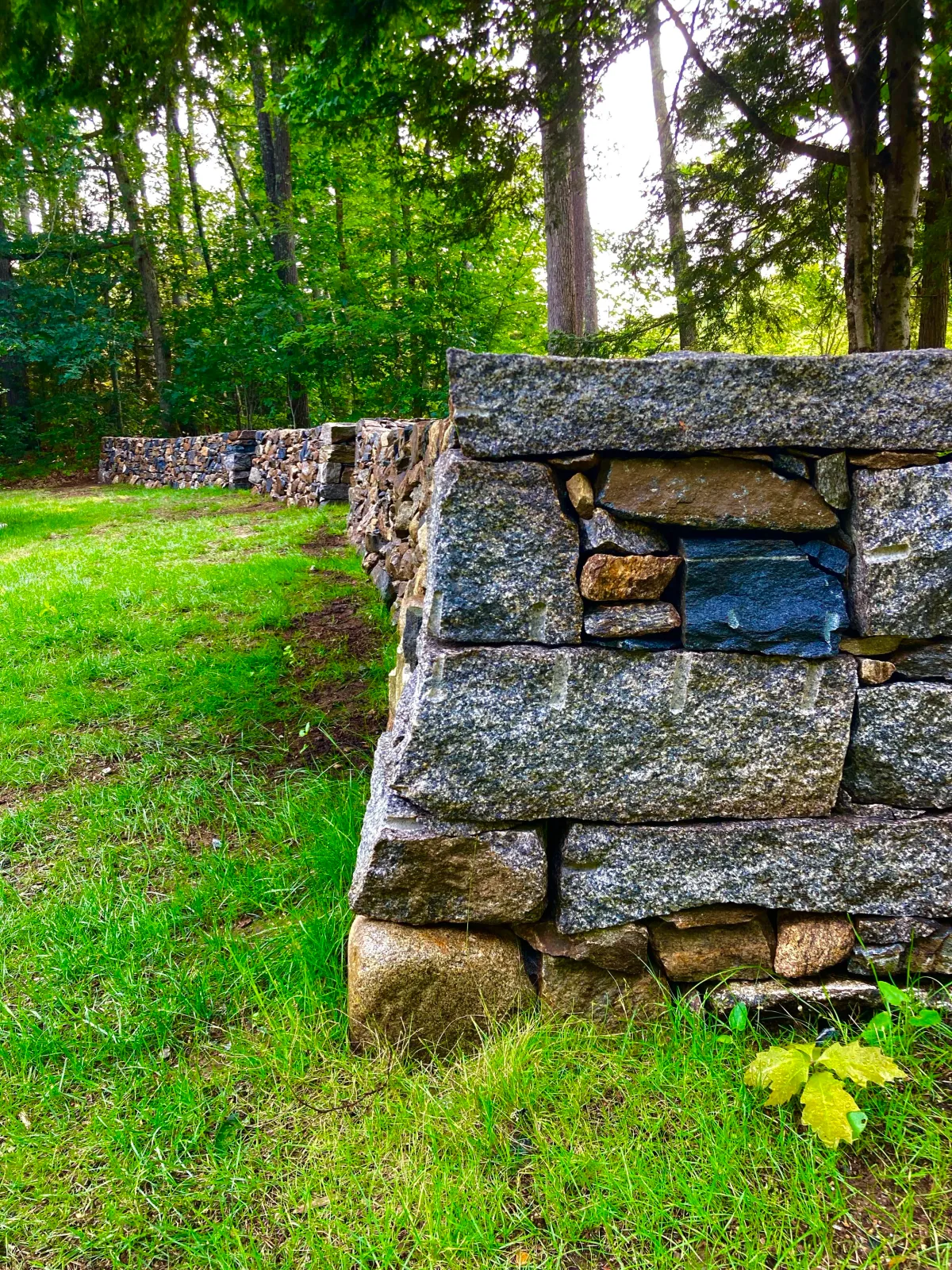 natural_stonewall.JPG