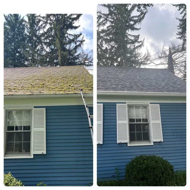 SQUEAKY CLEAN WINDOWS work photo