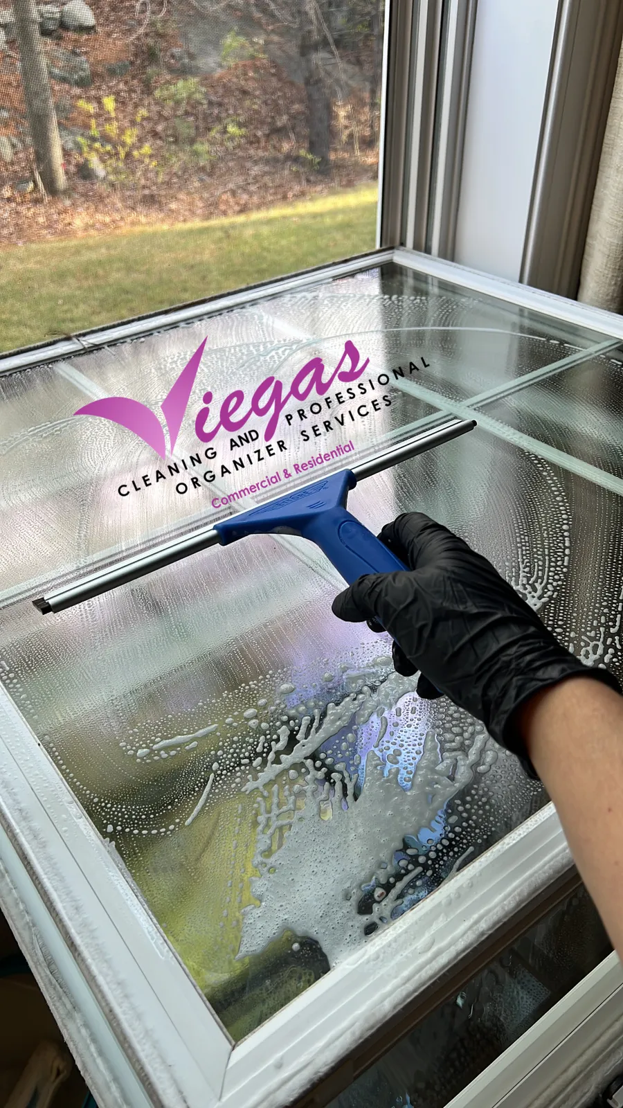 VIEGAS CLEANING AND PROFESSIONAL ORGANIZER SERVICES