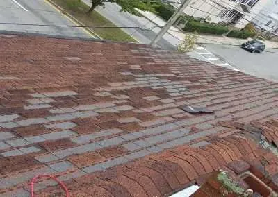 damaged roof shingles