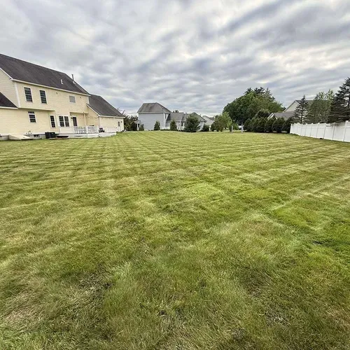 D&D Landscaping LLC