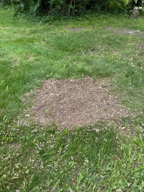 Tri-Son Stump Grinding researched project photo