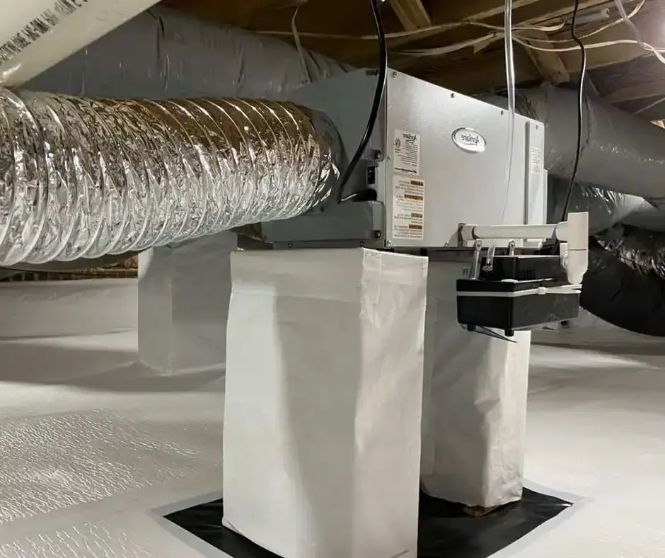 Efficient Crawl Space Encapsulation from Hartford, CT