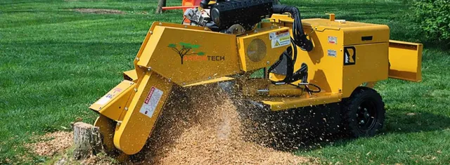 work photo from arbortechct.com