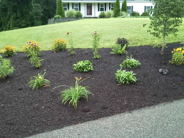 work photo from landartma.com