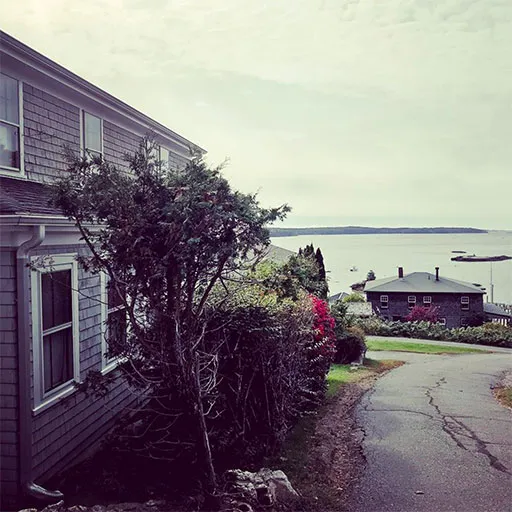 Attic Insulation Job With A View