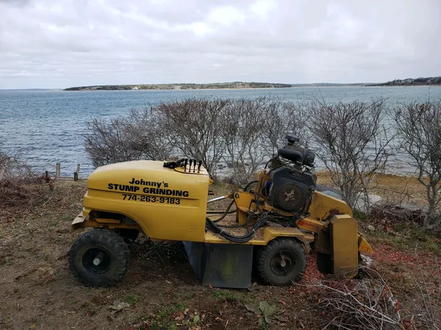 Johnny's Stump Grinding & More work photo