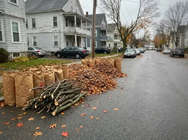 Spring/Fall Cleanup in New Bedford MA