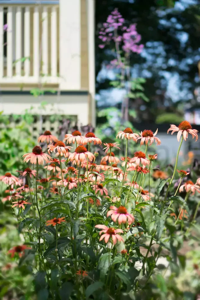 work photo from terrascapeslandscapedesign.com