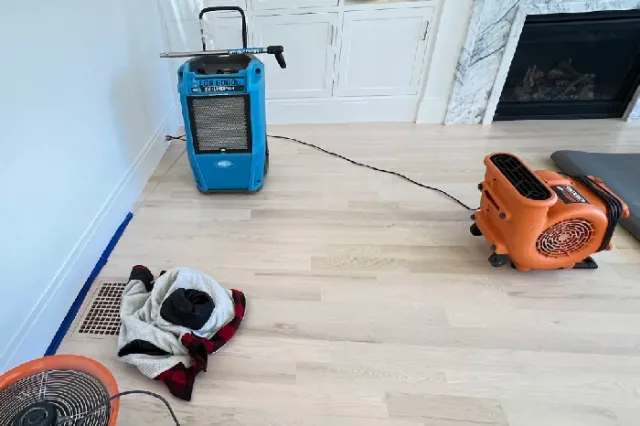 Water Damage Remediation