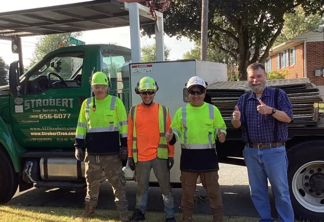 Strobert Tree Services, Inc. researched project photo