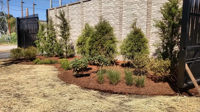 Grasshopper Yard Grooming researched project photo