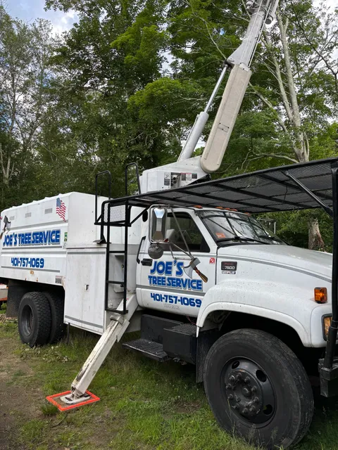 Joe's Tree Service, LLC work photo