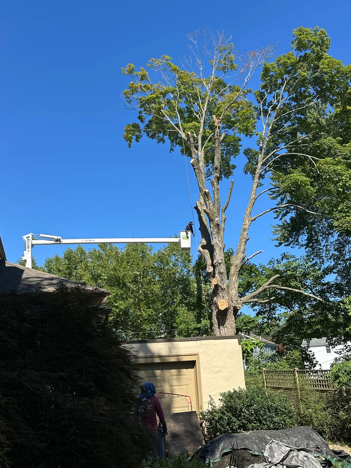 work photo from Google listing