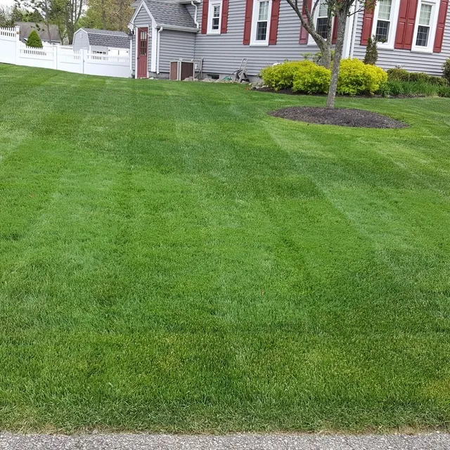 Striped-mown lawn in front of a red-shuttered house