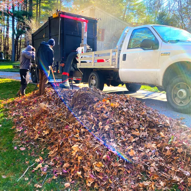 SRT Landscaping LLC work photo