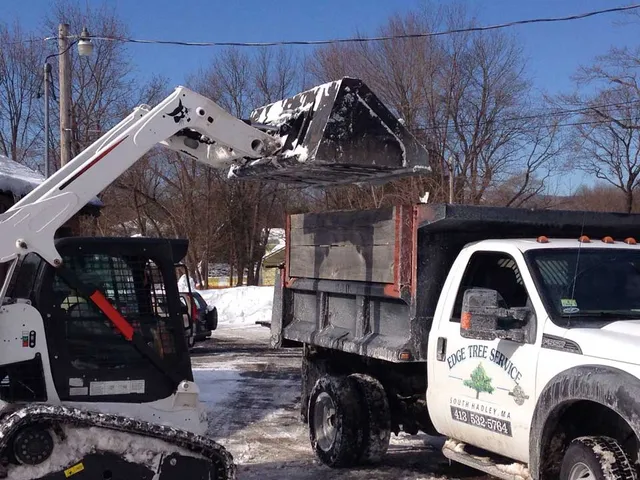 work photo from edgetreeservice.com