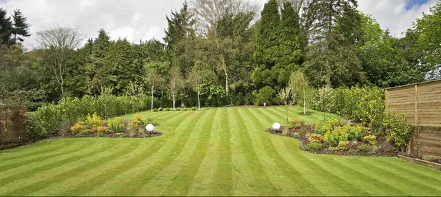 lawn-moving-3-cropped