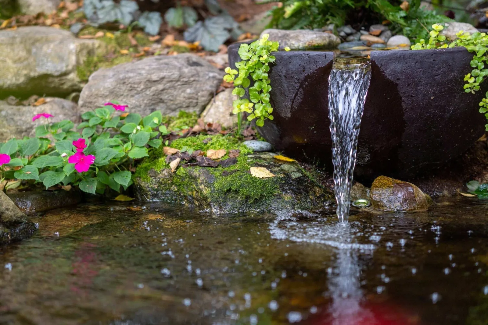 Landscape+Design+&+Construction,+Water+Feature+Designer+&+Builder,+&+Certified+Aquascape+Contractor+in+Boston+Massachusetts+_+Koi+Pond+Builders+Massachusetts+_+Outdoor+Water+Garden+_+Backyard+Streams,+Ponds,+&+Waterfalls+_+Beautiful+Ba (3).jpeg