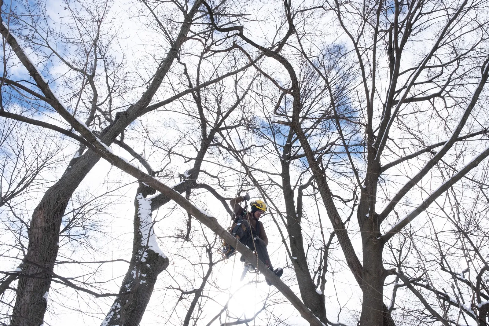 Barrett Tree Service East