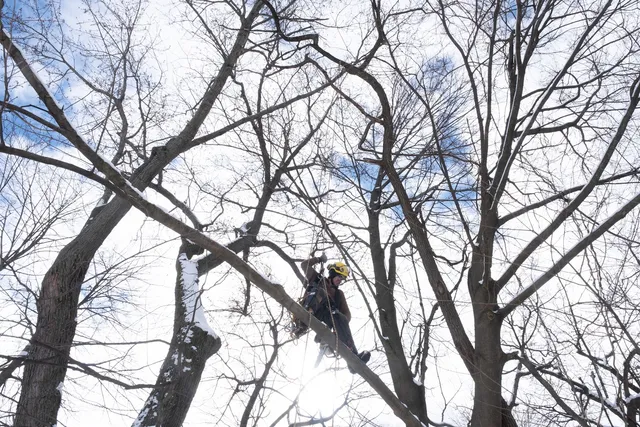 Barrett Tree Service East