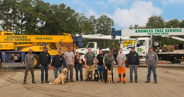 Knowles Tree Service 2020 Crew