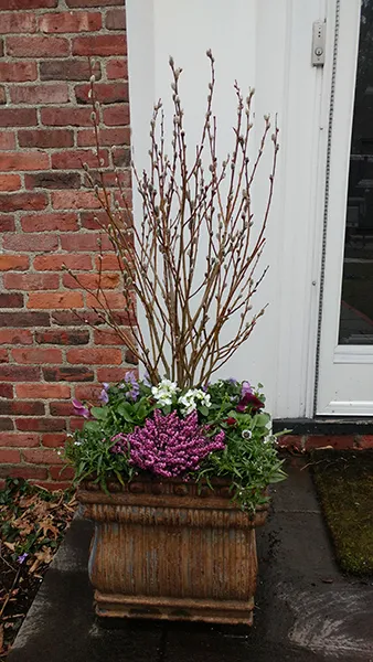 work photo from finegardeners.com