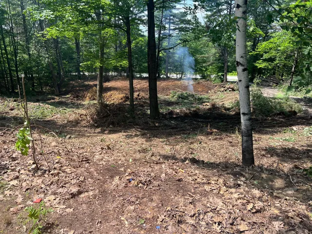 Jc Tree & excavation work photo