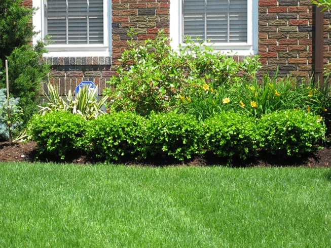 work photo from dimaurolandscaping.com